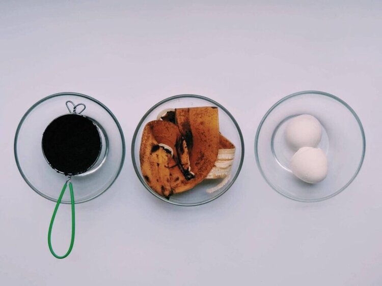 ¿Cómo hacer un abono ecológico con plátano, huevo y posos de café?