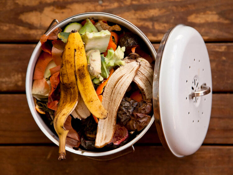 Manual de Lombricompostaje doméstico