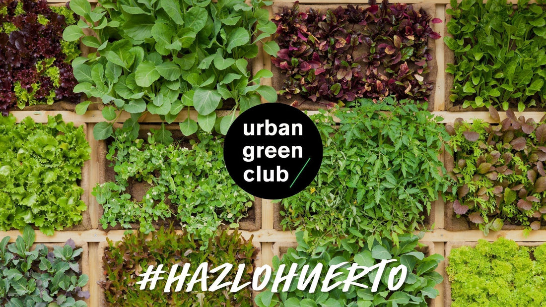 Logo de Urban Green Club y el hashtag #HazloHuerto, representando el movimiento para crear huertos urbanos y la regeneración de espacios verdes en la ciudad.