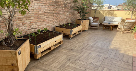Huerto urbano en terraza: diseño y bienestar