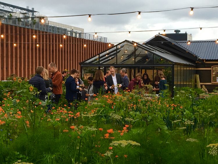 Beneficios sociales de los huertos urbanos