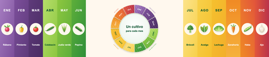 Rueda del calendario de siembra en el centro y los doce meses con su cultivo a los lados, en los colores de cada estación