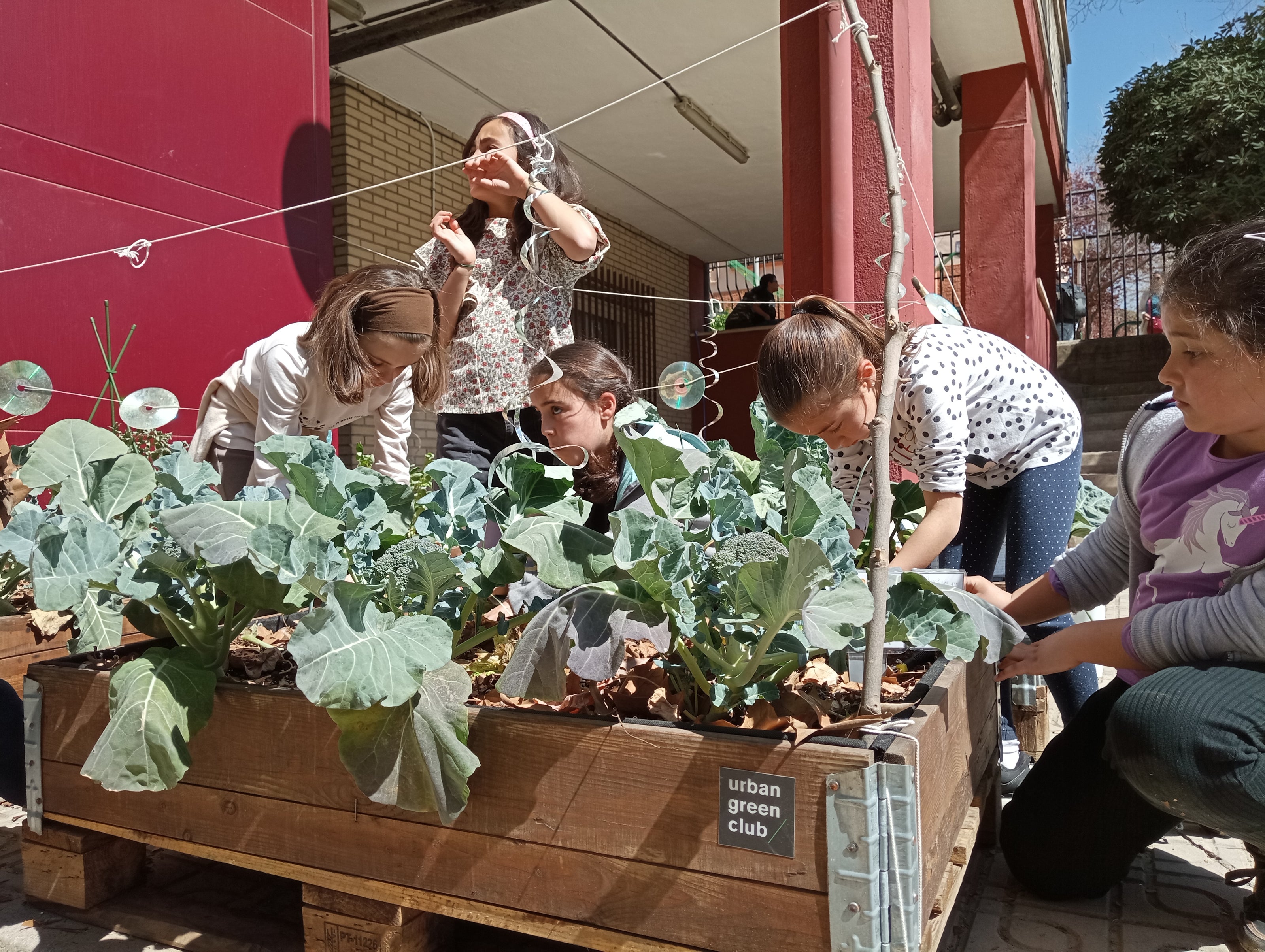 Huerto escolar en CEIP Los Cármenes, barrio Cartuja de Granada, proyecto de Urban Green Club