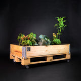 Bancal de Cultivo Urbano Premium