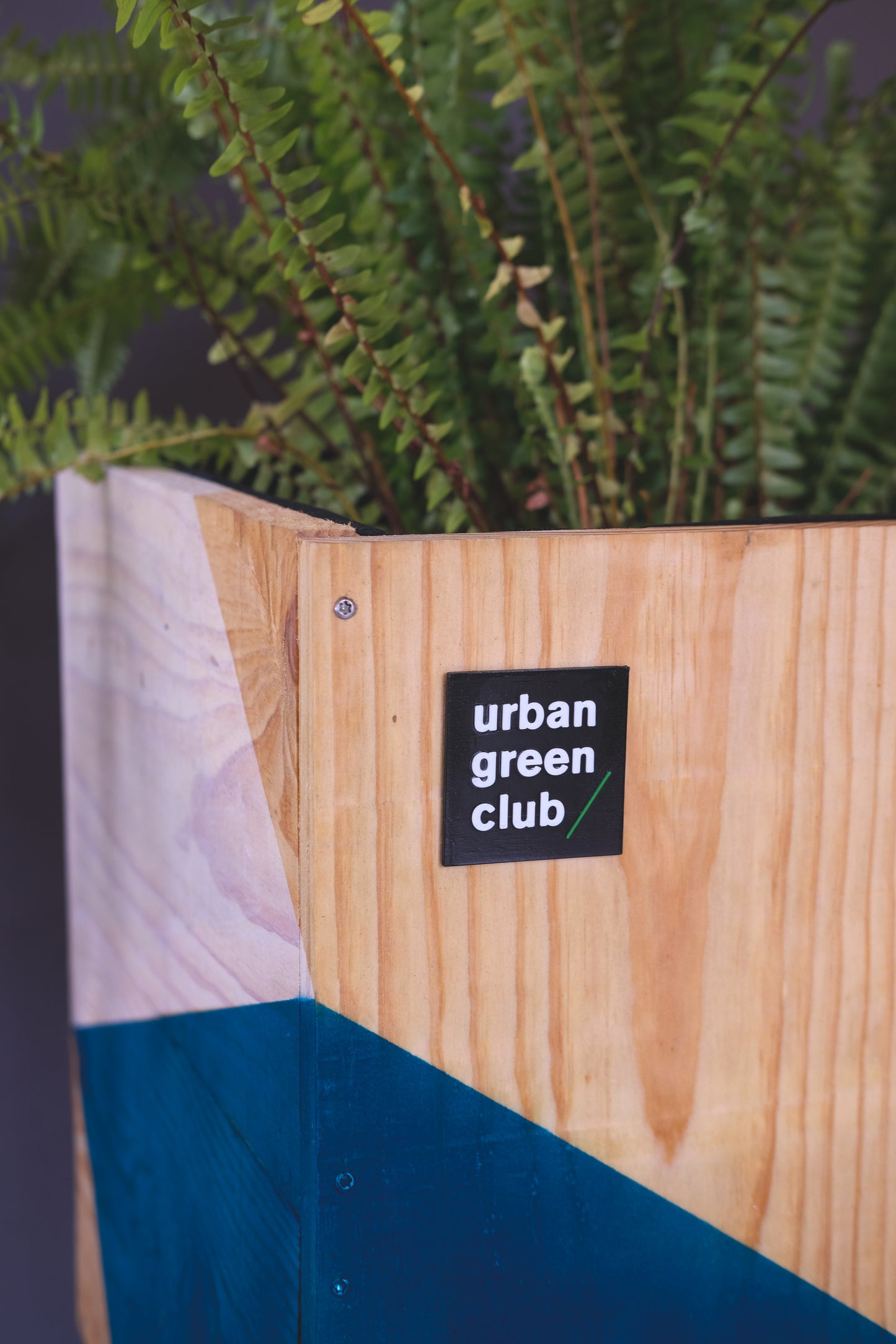 Module de culture CHRISTOPH