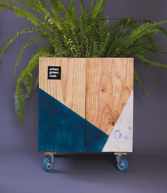 Módulo de Cultivo customizado