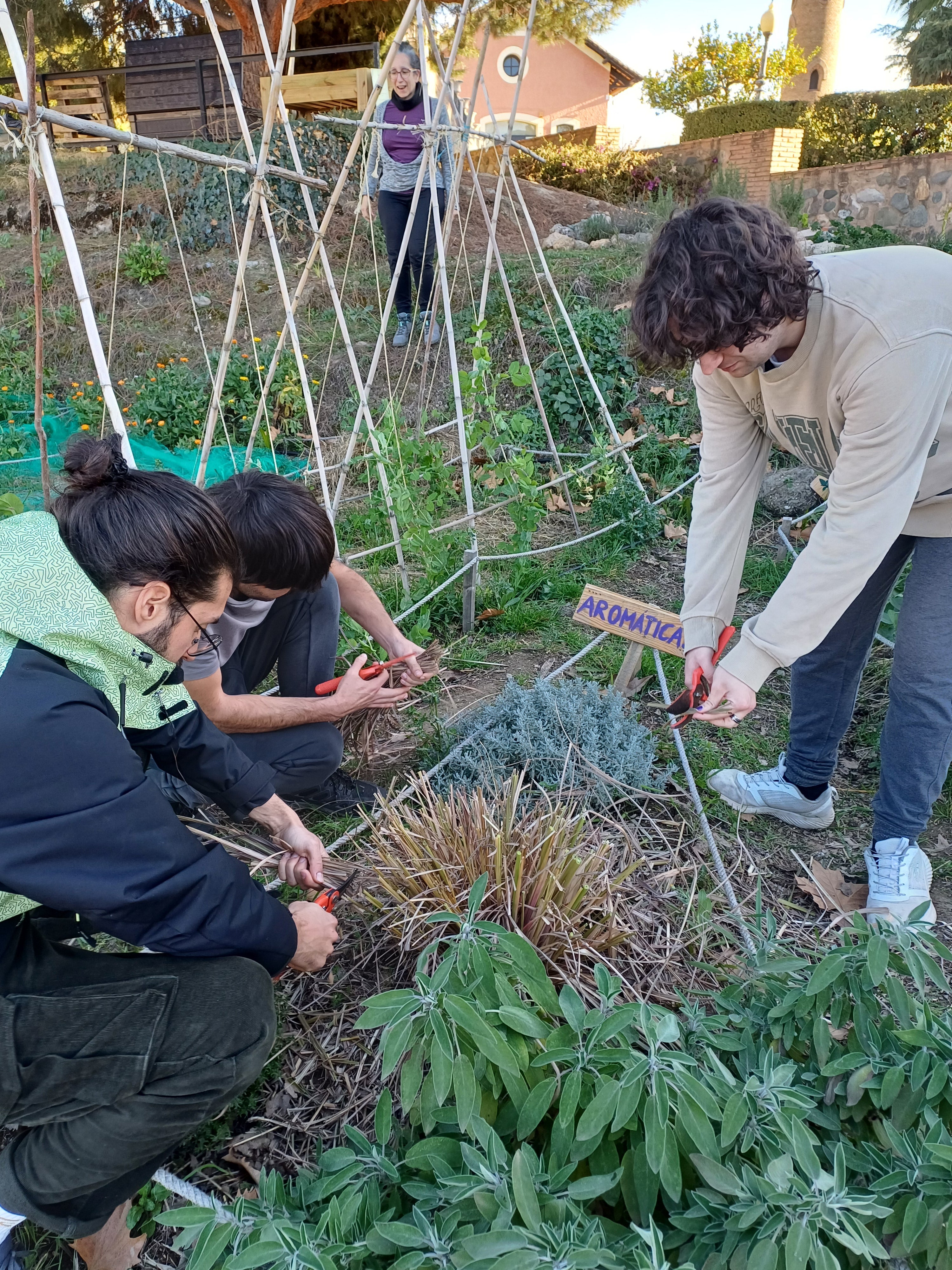 Intercambio de semillas y jornadas abiertas en el Huerto Urbano de la Quinta Alegre, Huerto Urbano en Granada España
