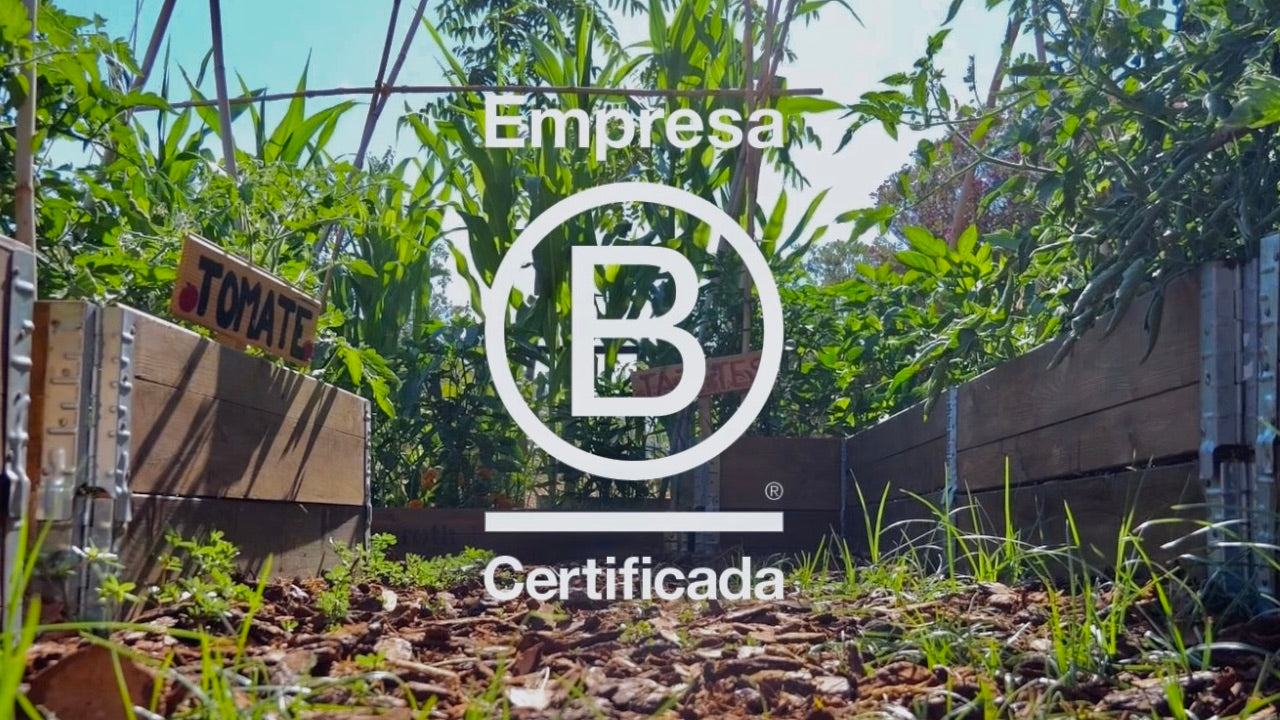 Charger la vidéo : 