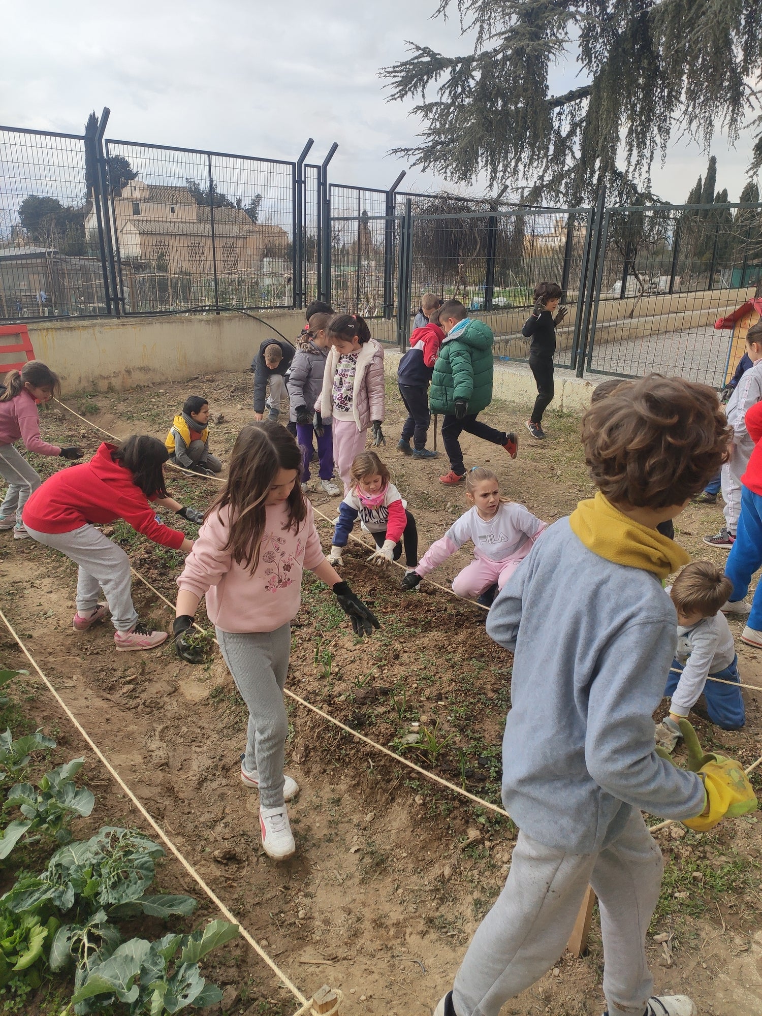 Más de 600 alumnos del CEIP Sierra Elvira participan en proyecto de huerto escolar con bancales de fácil acceso, compostaje y semillero en Granada, España - Implementado por Urban Green Club
