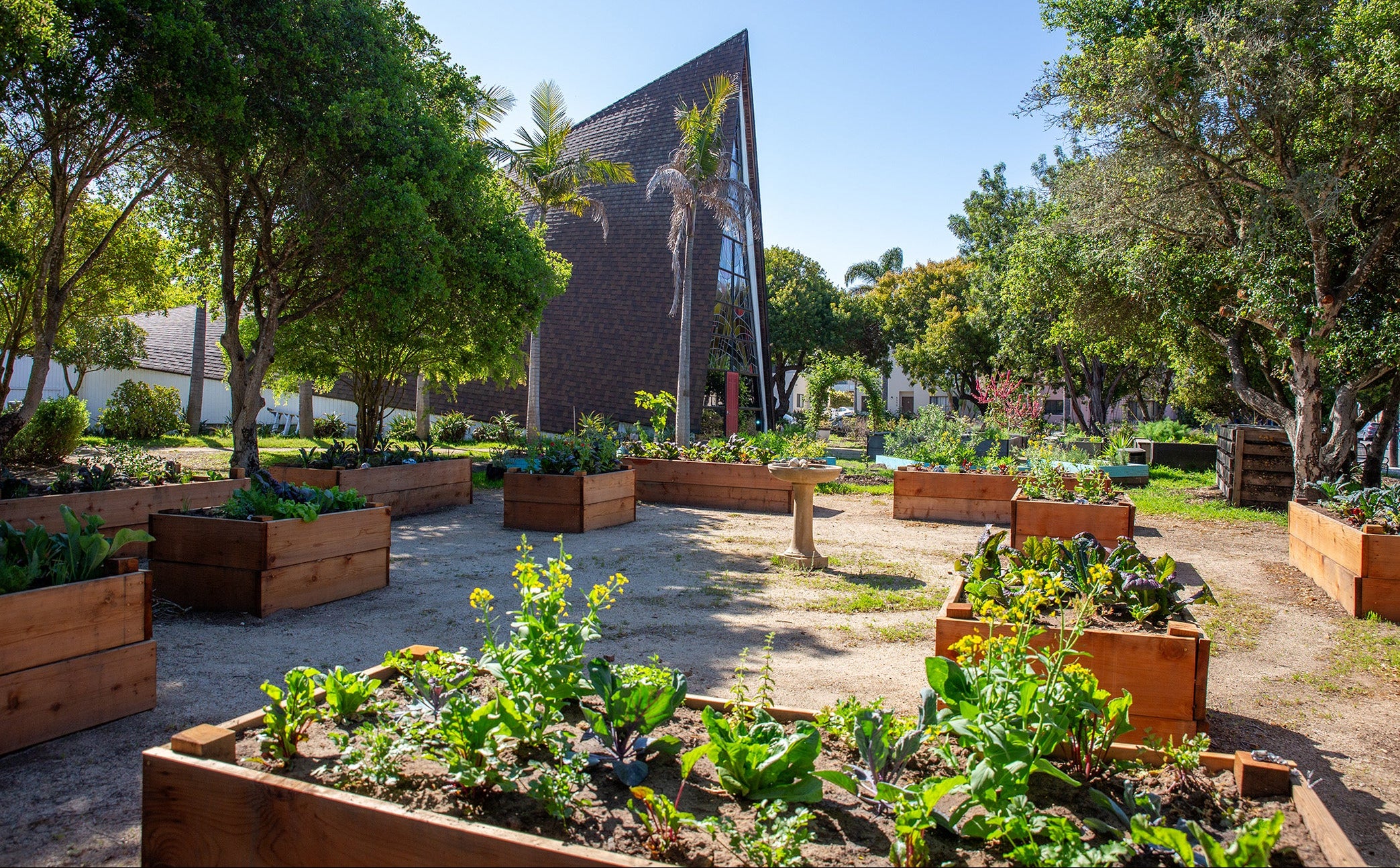 Huerto urbano de Urban Green Club
