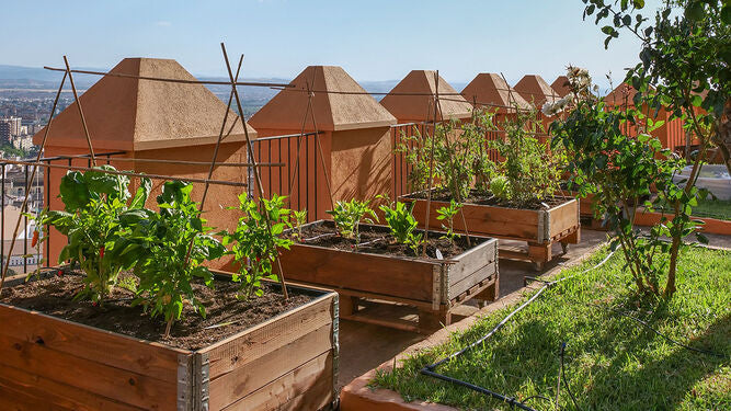 ancales elevados de cultivo urbano instalados en la terraza del Hotel Alhambra Palace de Granada por Urban Green Club