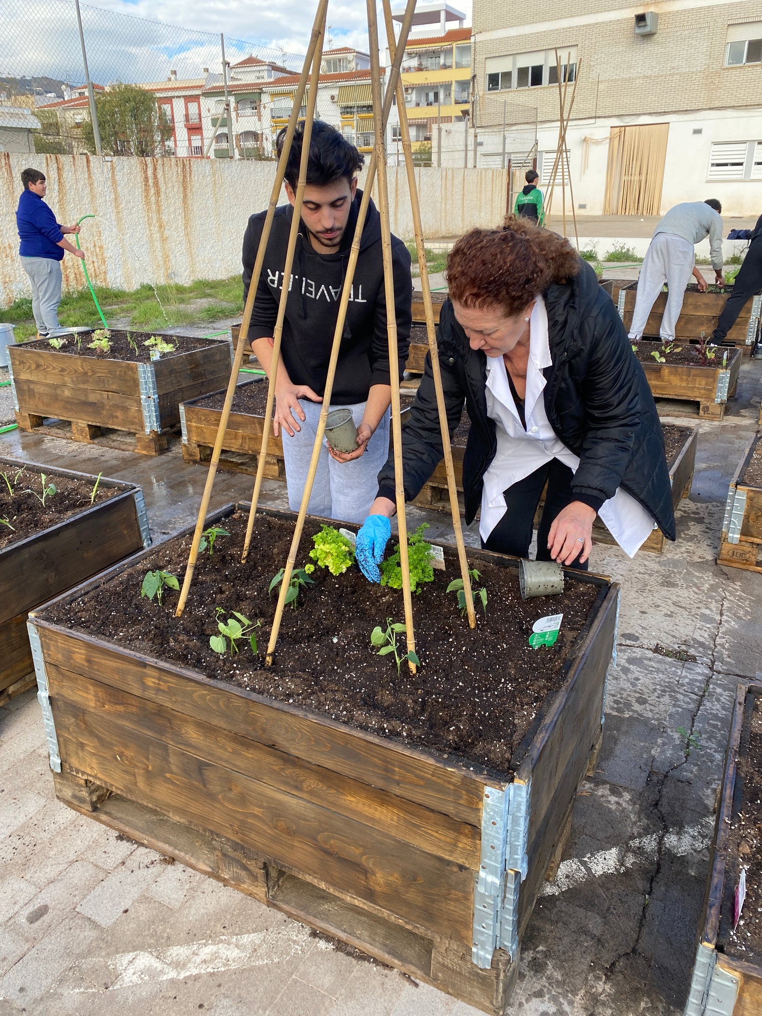 Alumnos de la Escuela de Hostelería de Salobreña durante la primera plantación del huerto culinario instalado por Urban Green Club en el IES Mediterráneo