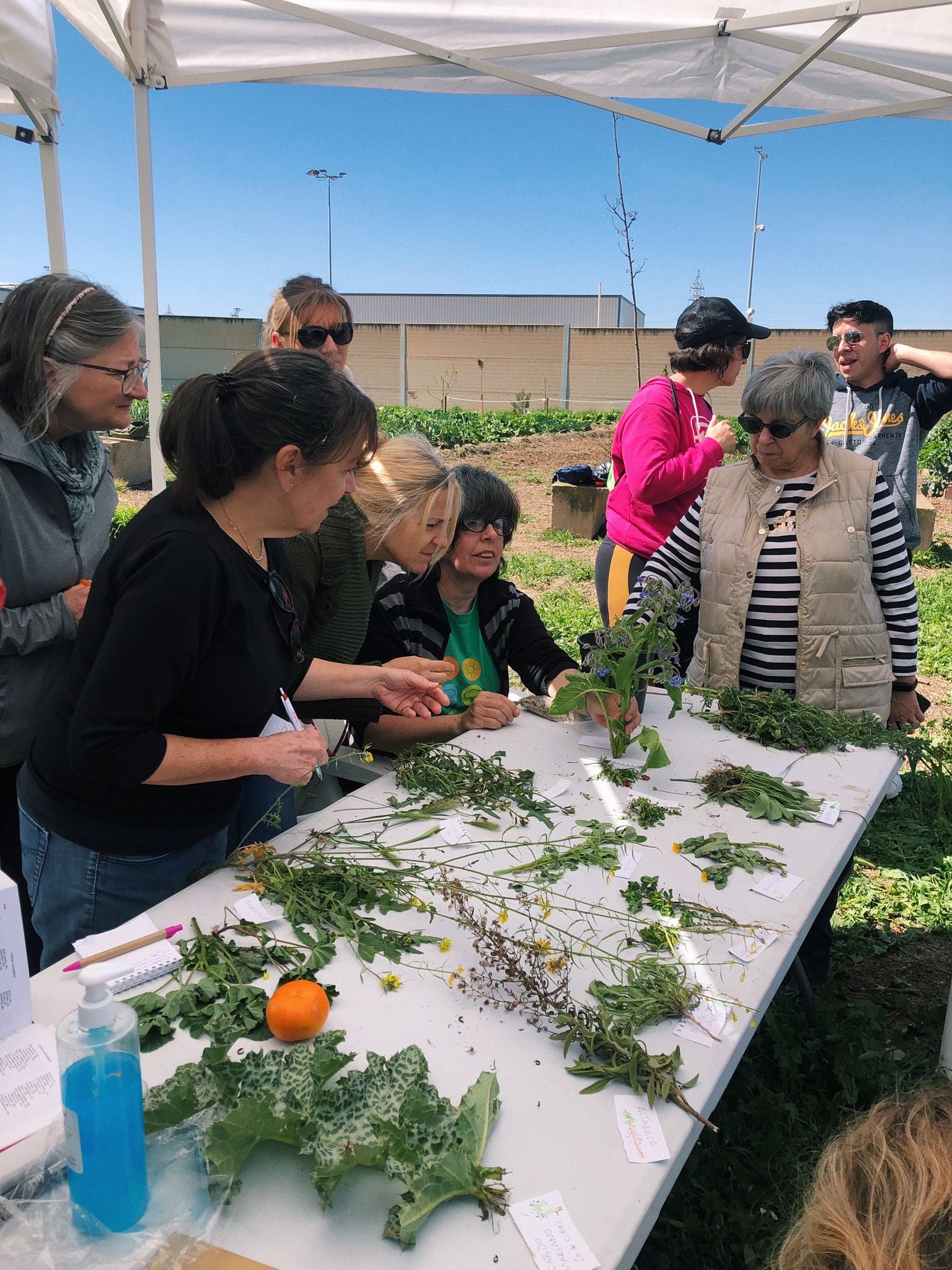 Participantes en una sesión de formación práctica sobre cultivo orgánico y empoderamiento comunitario en Armilla