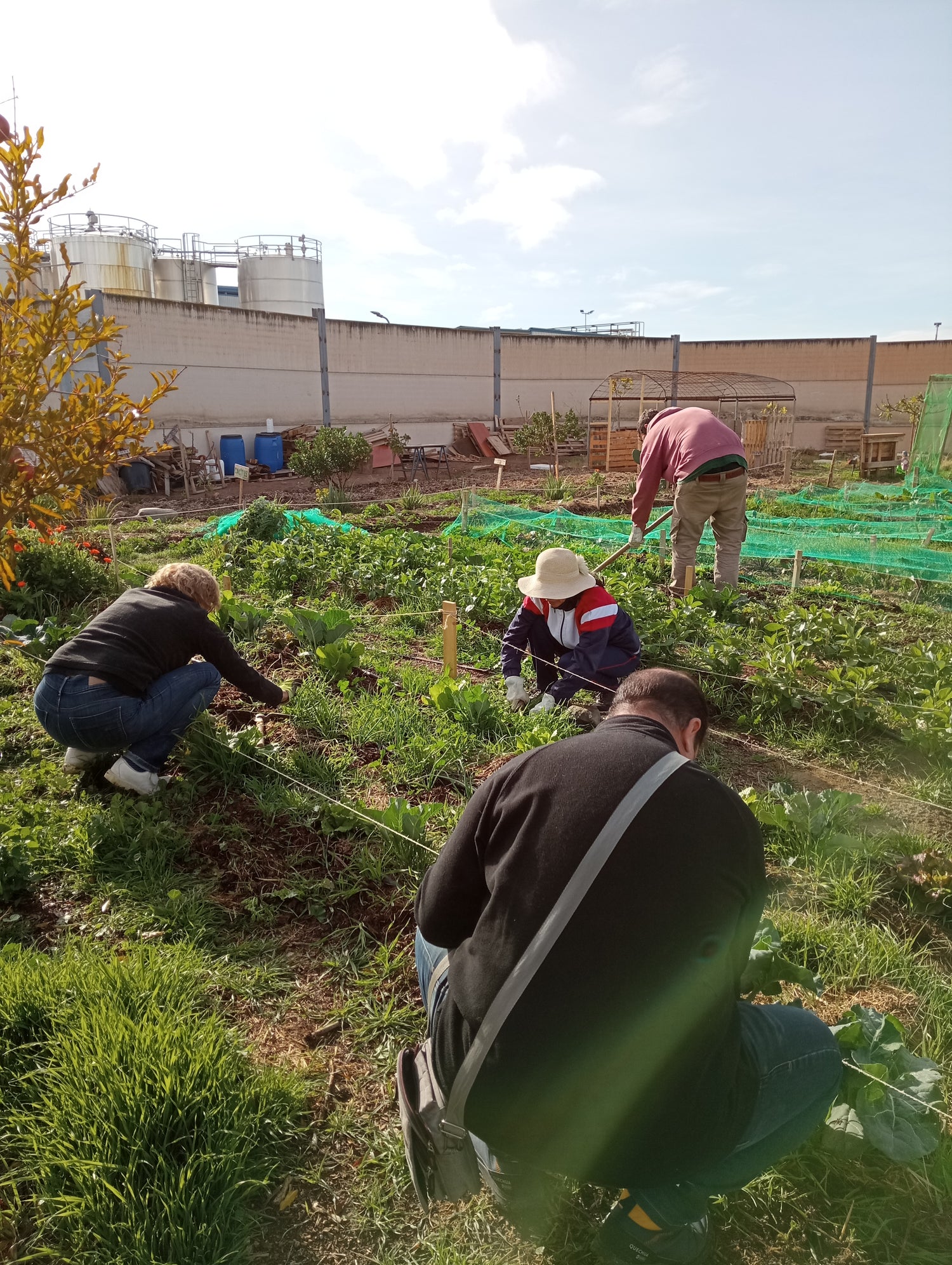 Vecinos de Armilla de distintas generaciones colaborando en las tareas del huerto urbano comunitario de Urban Green Club