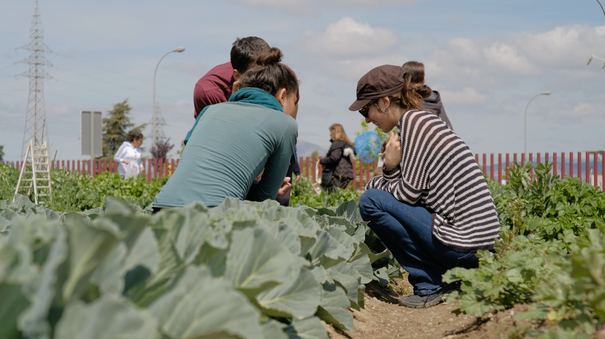 Grupo de personas participando en un taller de agroecología urbana en el Ecohuerto Arabuleila de Armilla, Granada.