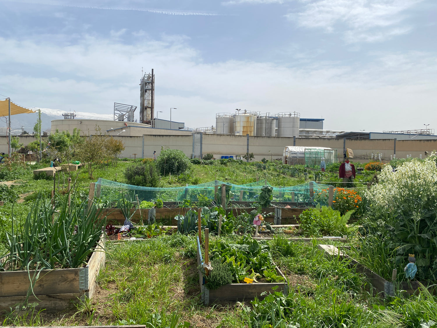 Vista del Ecohuerto Arabuleila mostrando la integración de la infraestructura verde en el paisaje urbano de Armilla, Granada.