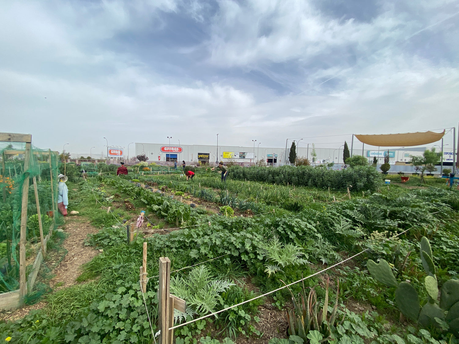 Panorámica del Ecohuerto Arabuleila en Armilla destacando la vegetación densa como solución basada en la naturaleza para mitigar el calor urbano en Granada