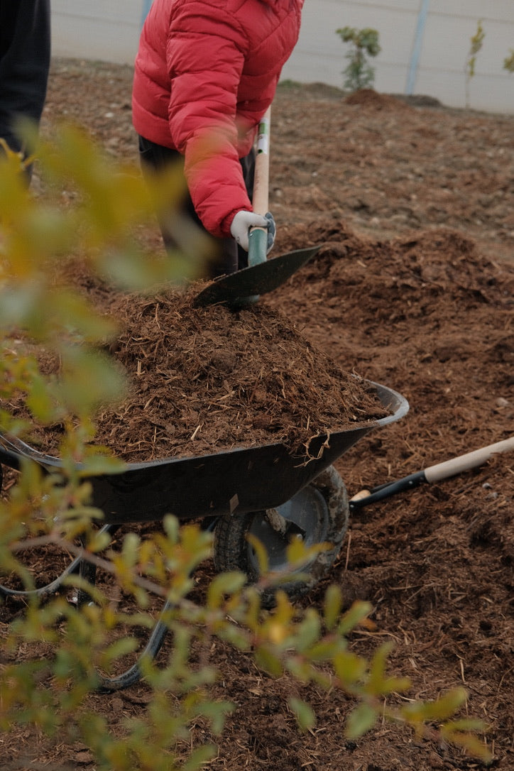 Primer plano de una persona abonando y nutriendo la tierra en el huerto de Armilla para restaurar la salud biológica del suelo