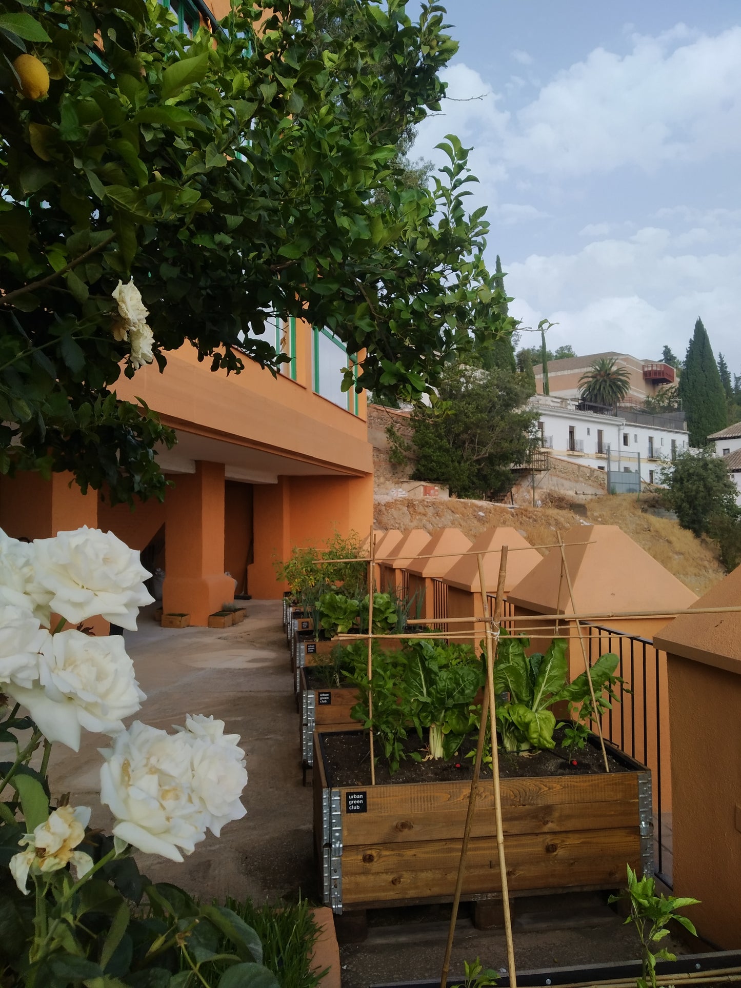 Bancal de Cultivo en Alhambra Palace
