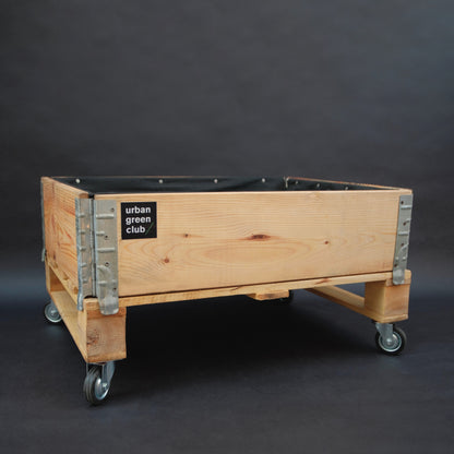 Bancal de Cultivo Mini Pino