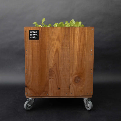 Módulo de Cultivo - Nogal