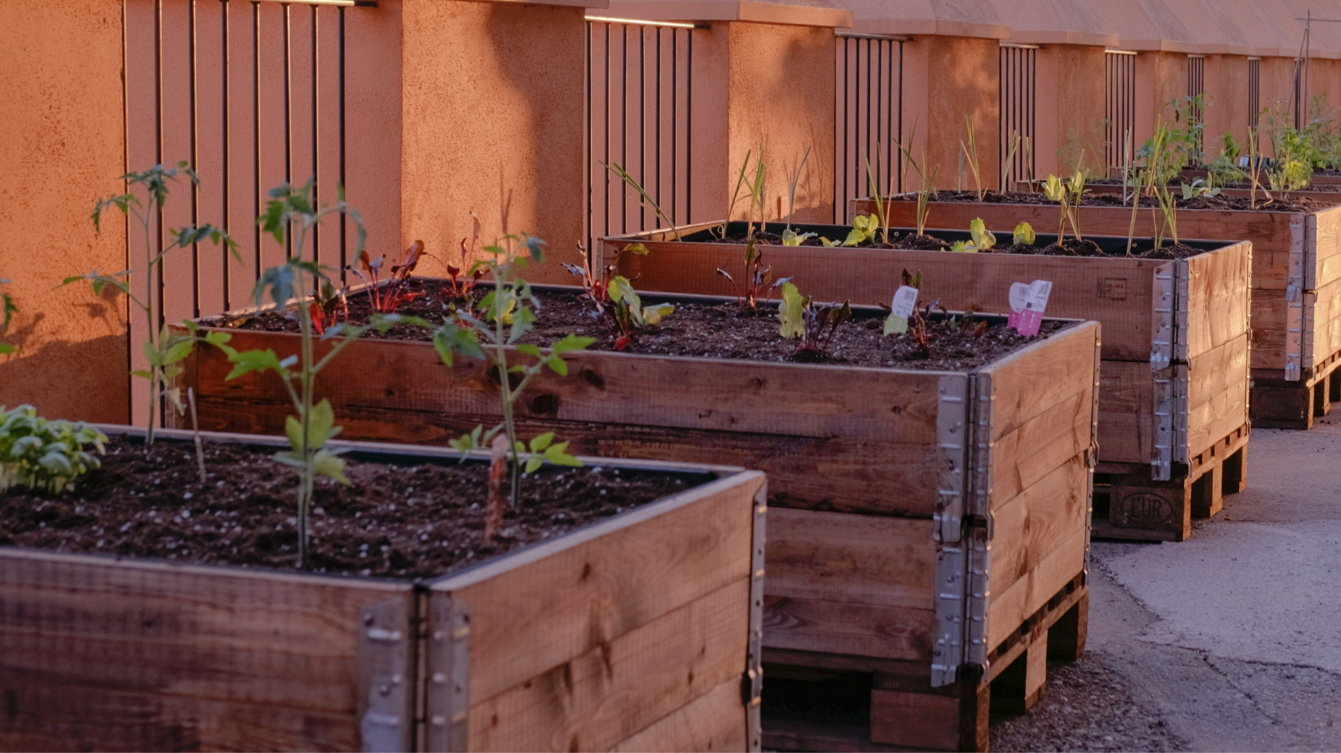 Bancal de Cultivo Alhambra Palace