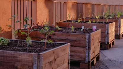 Bancal de Cultivo Alhambra Palace