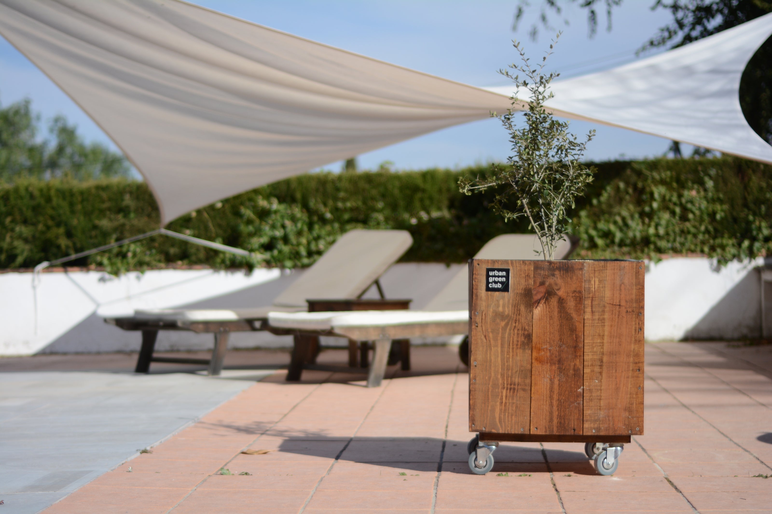 Módulo Cultivo Nogal 